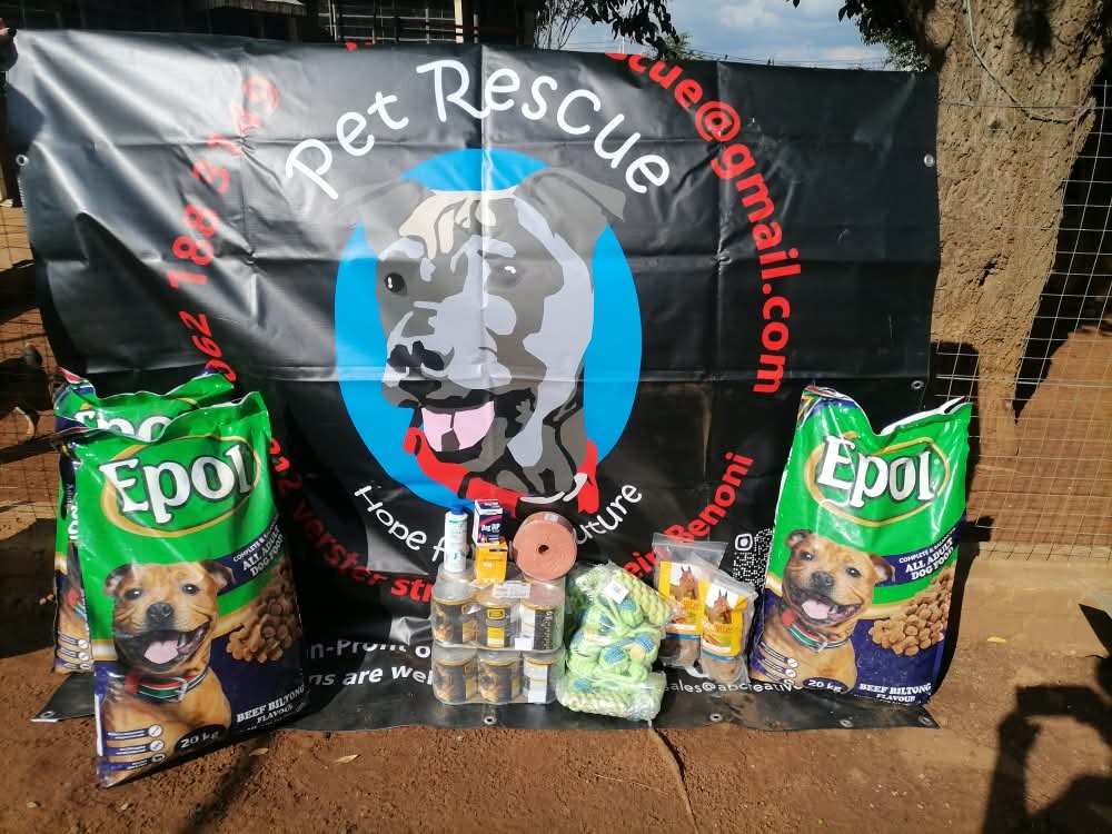 Domestic Pet Rescue Benoni